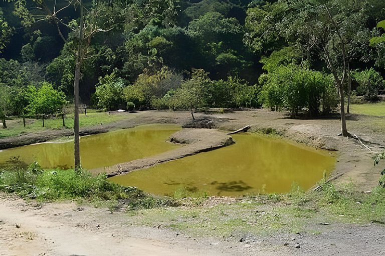 Sitio Agradável com Lago e Piscina Guararema!